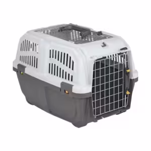 Habituer son chat aux transports et aux voyages : caisse de transport pour chat