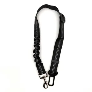 Laisse ceinture de sécurité pour chat