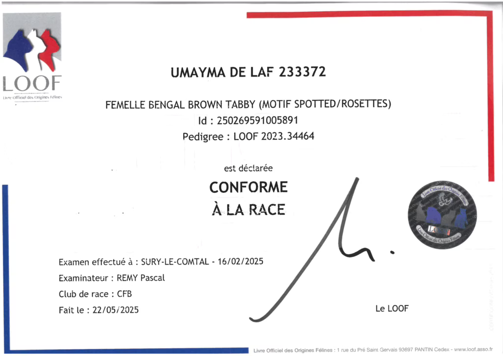 CONFORMITE UMA